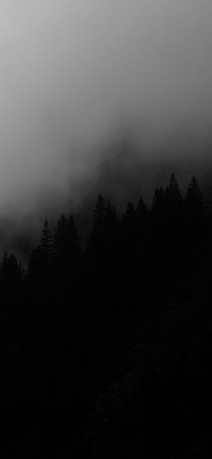 Black-Wallpaper-Company