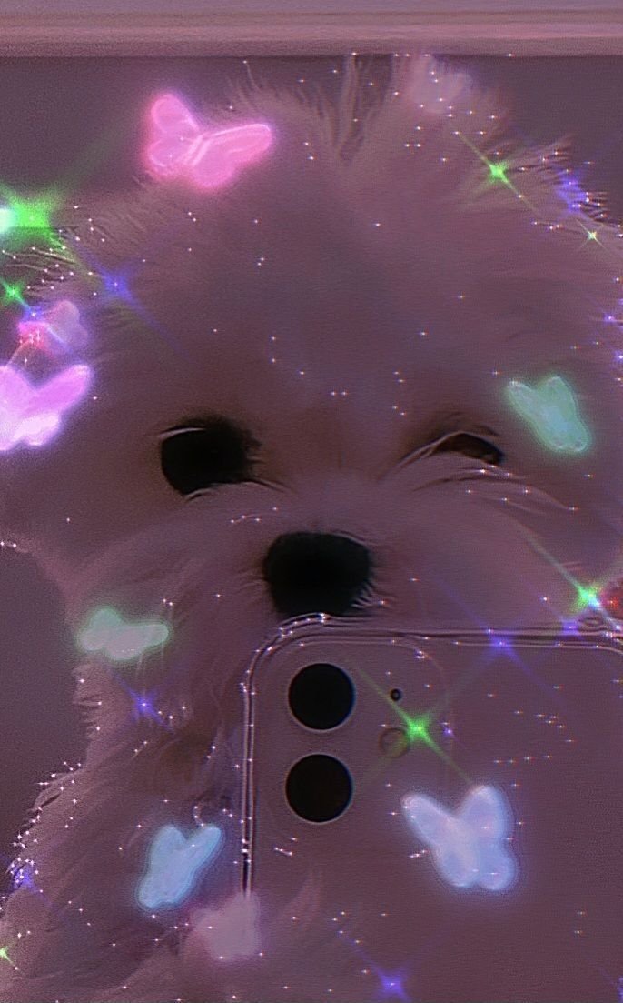 aesthetic-wallpaper-bows