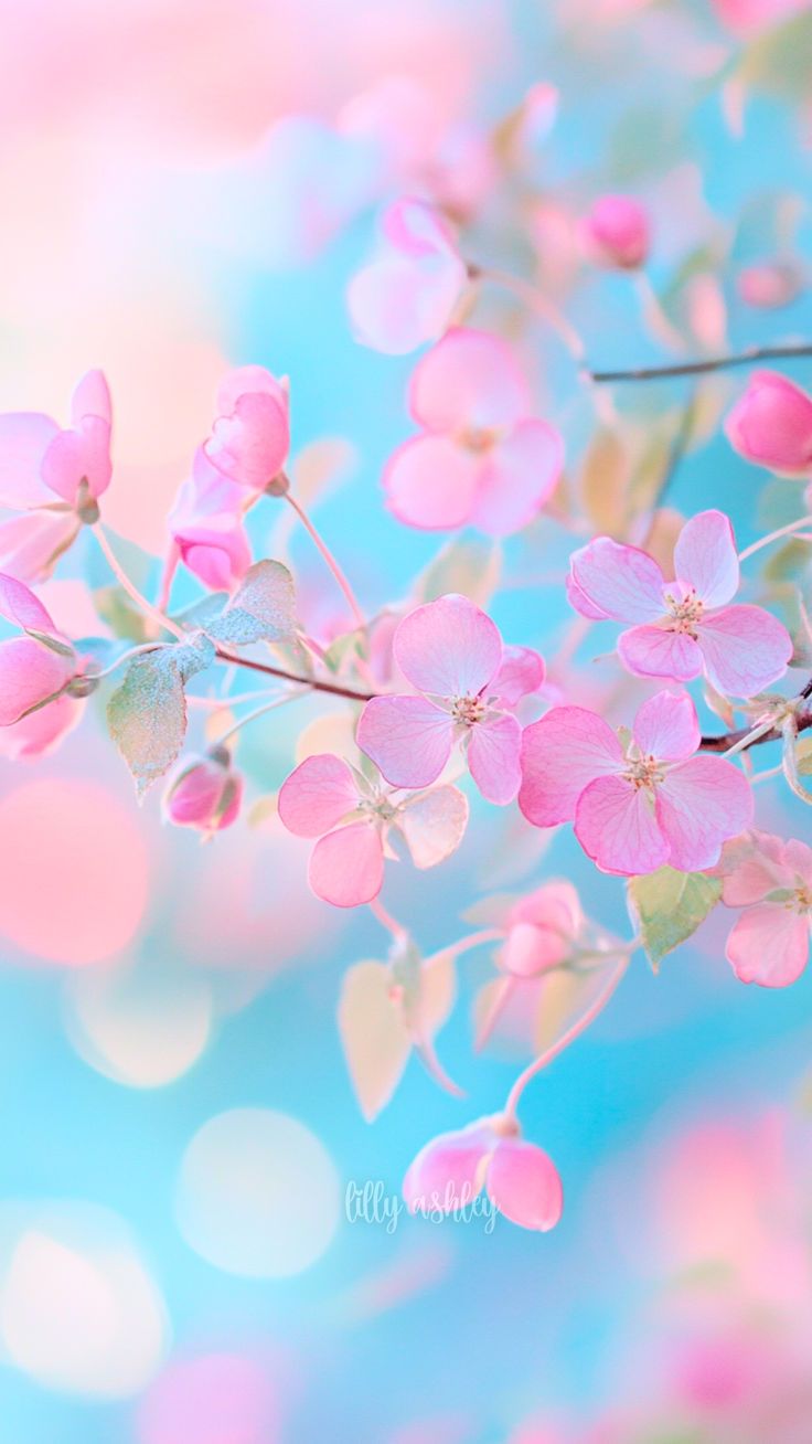 cute-wallpaper-emoji