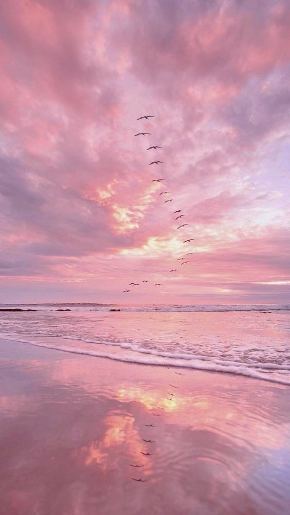 elegant-pink-wallpaper